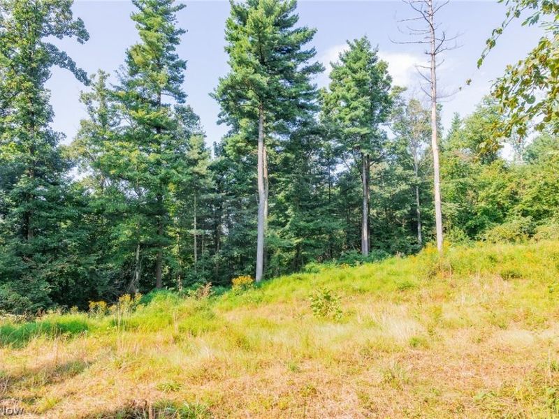 Pumpkin Ridge Road, Quaker City, OH 43773 Photo 6