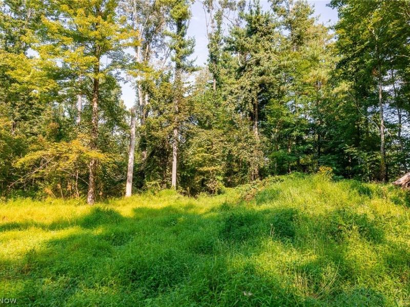 Pumpkin Ridge Road, Quaker City, OH 43773 Photo 7