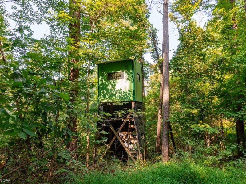 Pumpkin Ridge Road, Quaker City, OH 43773 Photo 8
