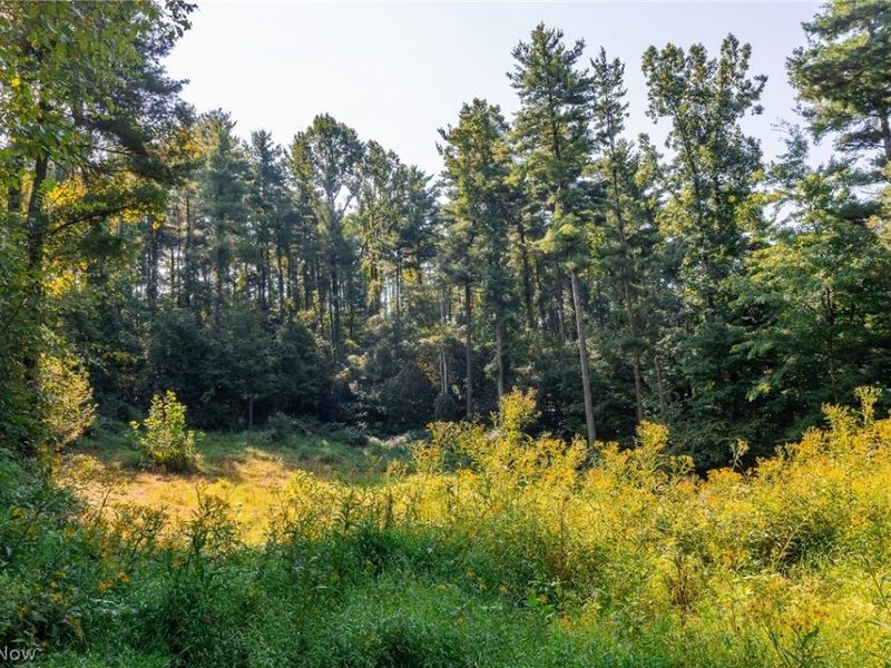 Pumpkin Ridge Road, Quaker City, OH 43773 Photo 9