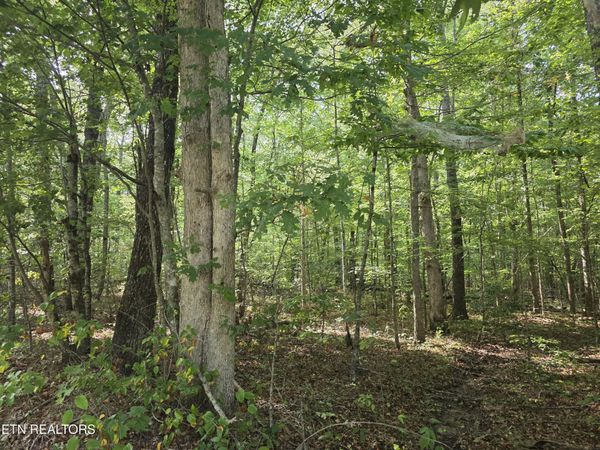 6 Cumberland Lakes Drive, Monterey, TN 38574