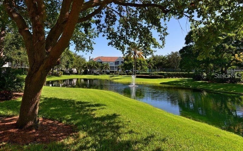 850 S Tamiami Trail, Unit 309, Sarasota, FL 34236 Photo