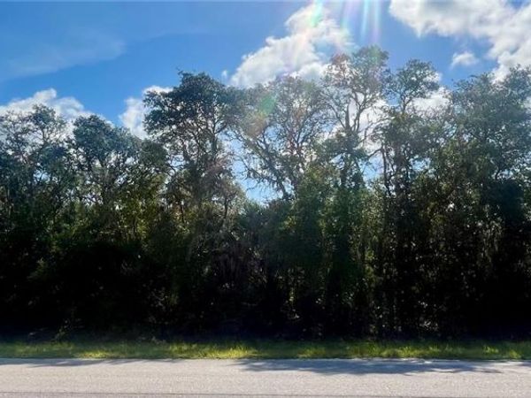 TBD FISHER ROAD , OCKLAWAHA, FL 32179