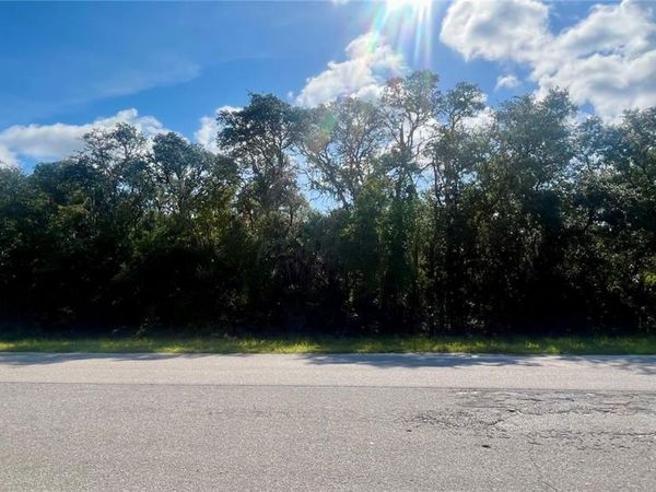 TBD FISHER ROAD , OCKLAWAHA, FL 32179