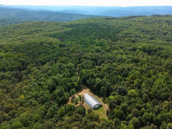 100 Acres FS RD 1548 , Oark, AR 72852