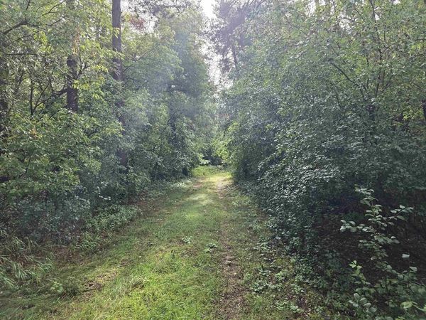 N5178 5TH AVENUE, Plainfield, WI 54966