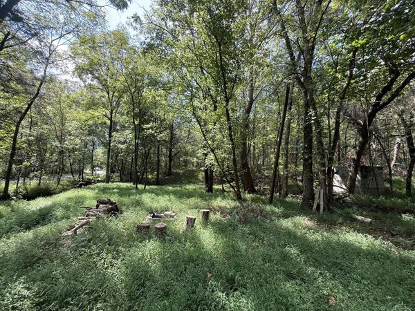 2.5 Acres Cave Springs Road, Rising Fawn, GA 30738