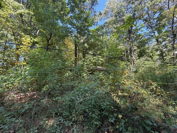 0 Michigan Avenue Road, Cleveland, TN 37323