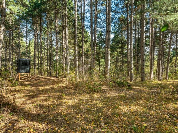 TBD Rocky Ridge Road , Henning, MN 56551