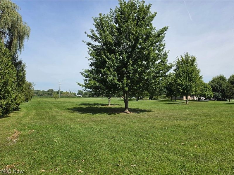State Route 303, Unit Lot A, Lagrange, OH 44050 Photo 3