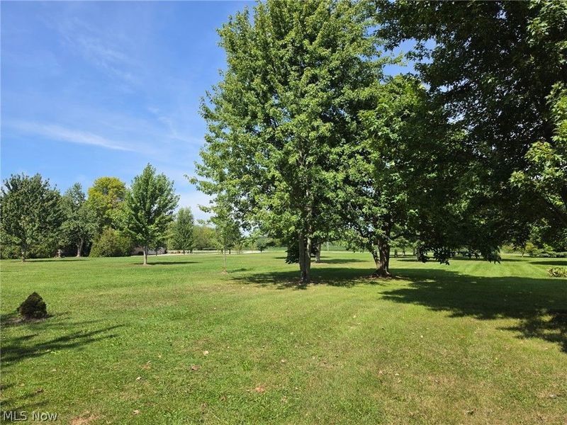 State Route 303, Unit Lot A, Lagrange, OH 44050 Photo 4