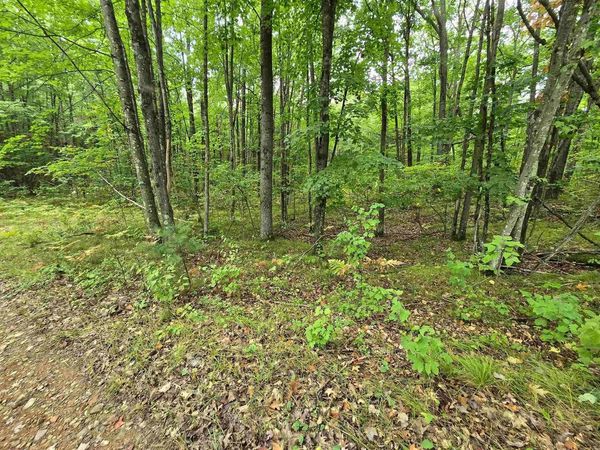 ROUSH ROAD, Wausaukee, WI 54177