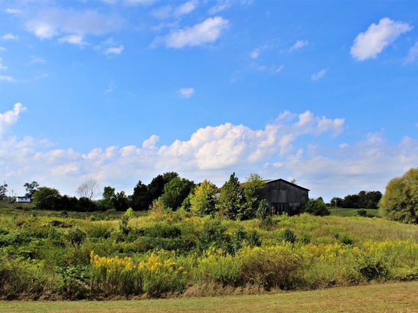 4011 Park City Bon Ayr Road , Park City, KY 42160
