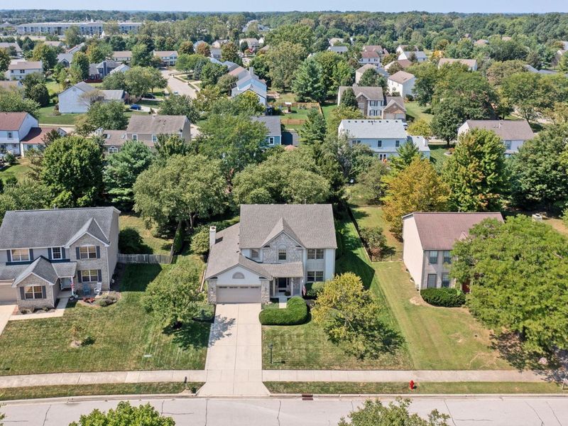 733 Bovee Lane, Powell, OH 43065 Photo 33