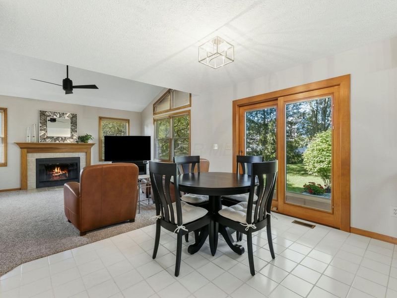 733 Bovee Lane, Powell, OH 43065 Photo 9