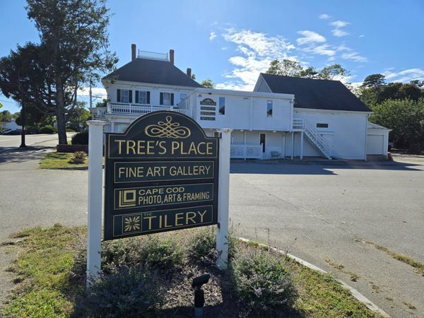 60 Ma-6a, Orleans, MA 02653