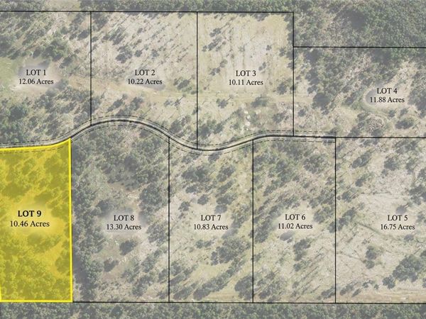 160TH , REDDICK, FL 32686
