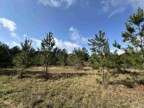 33.66 AC Snider Rd, Unit 33.66 AC, Frisco City, AL 36445