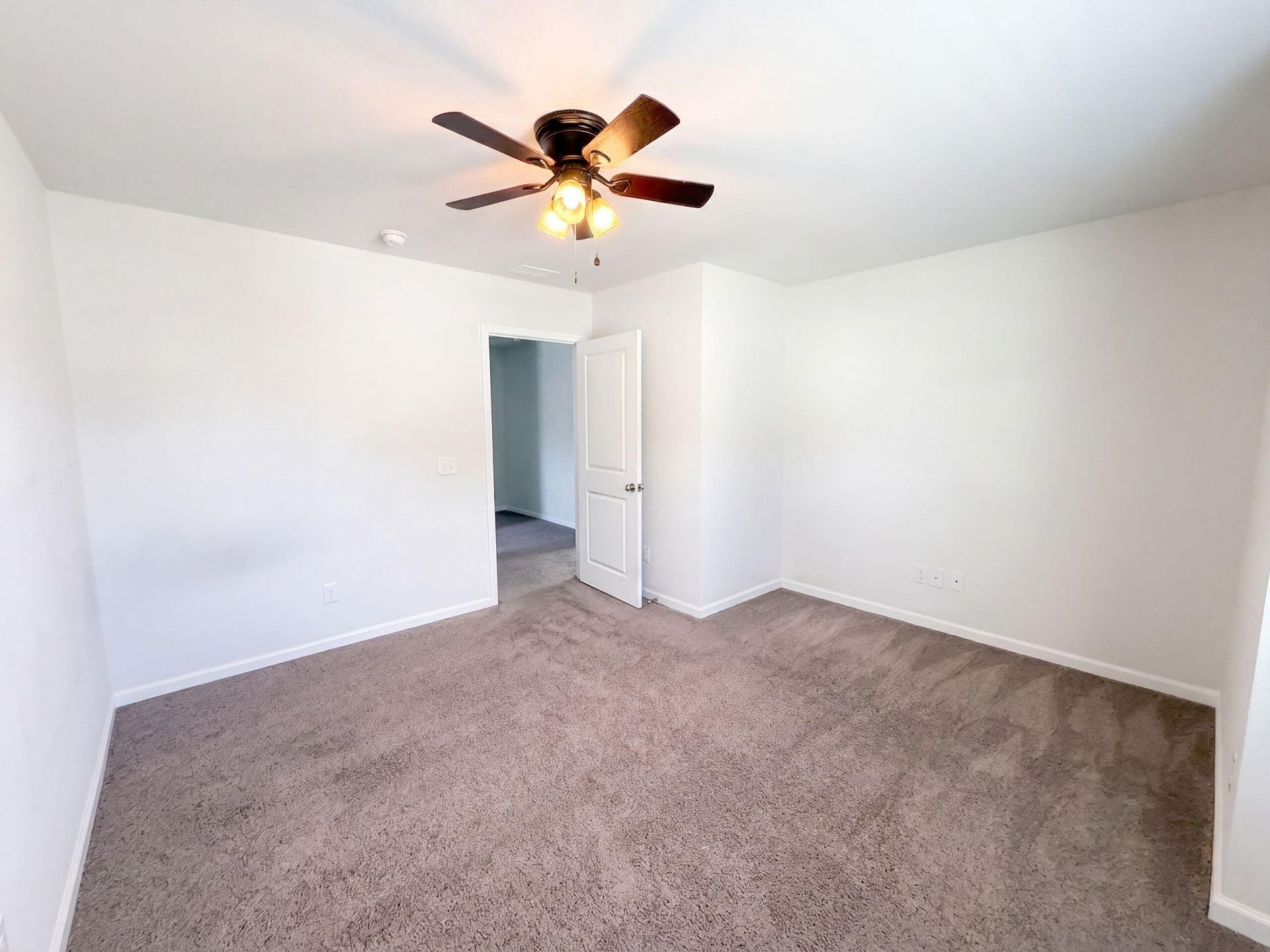 115 Lilly Grace Lane Photo 11