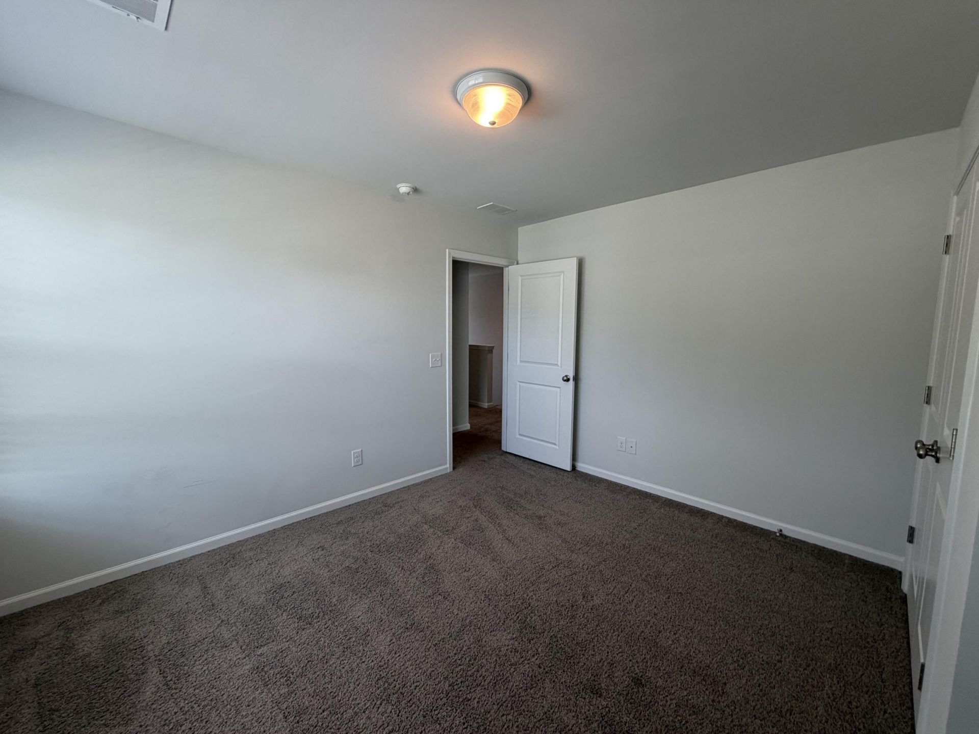 115 Lilly Grace Lane Photo 13