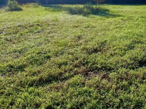 411 Timberwind Lane SE, Leland, NC 28451