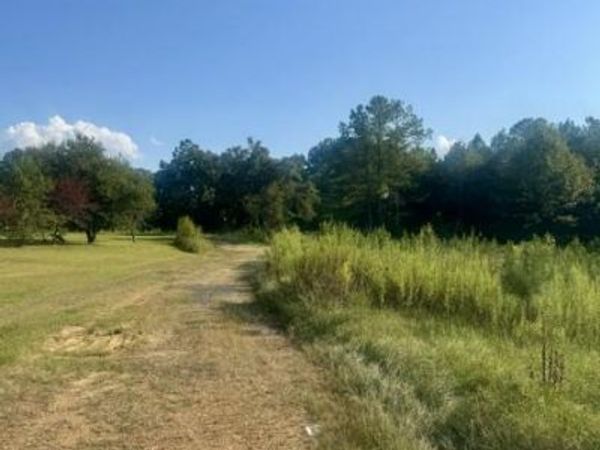 6126A Clarkson Road, Mathiston, MS 39752