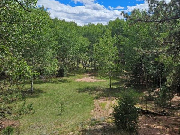 430 Pinon Lane, Florissant, CO 80816