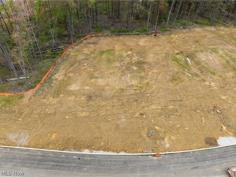 9524 River Birch Run, Brecksville, OH 44141 Photo 2