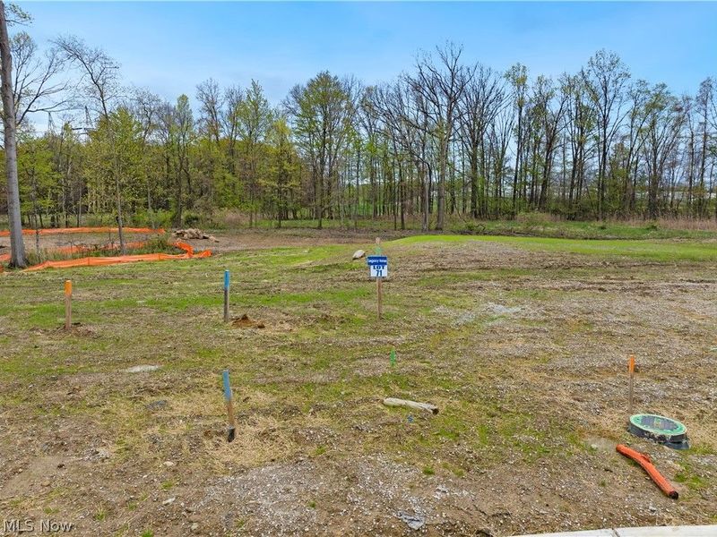 9524 River Birch Run, Brecksville, OH 44141 Photo 7