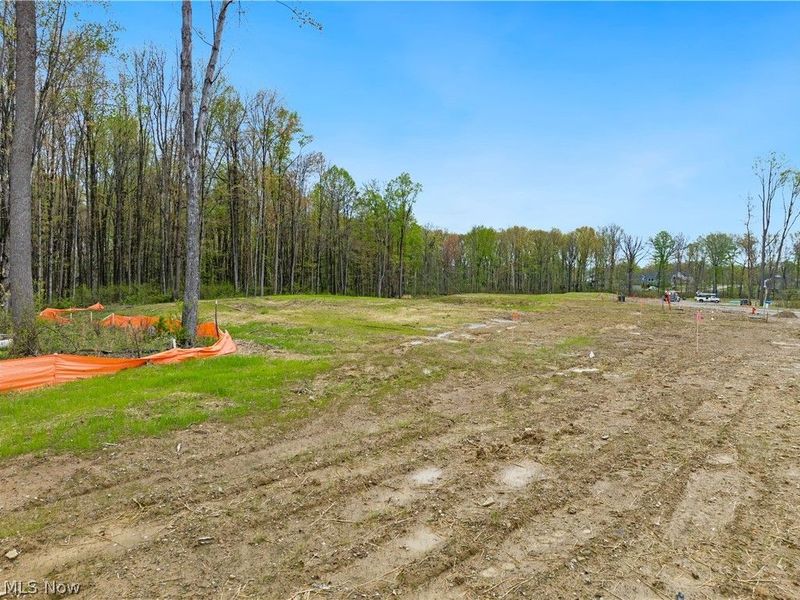 9523 River Birch Run, Brecksville, OH 44141 Photo 5
