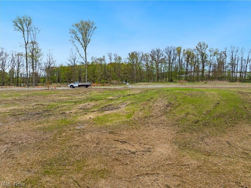 9523 River Birch Run, Brecksville, OH 44141 Photo 6