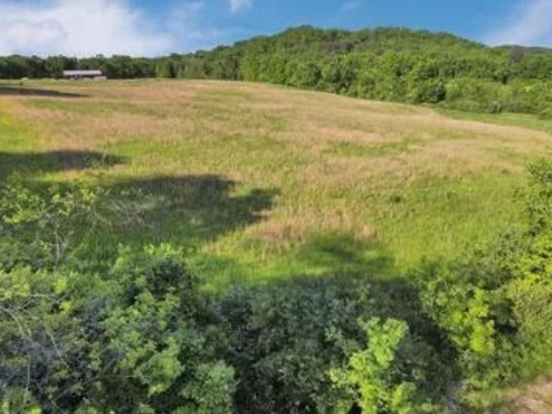24754 Shurtz Road, New Plymouth, OH 45654 Photo 3