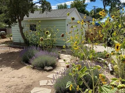 970 Vine Street, Reno, NV 89503 Photo