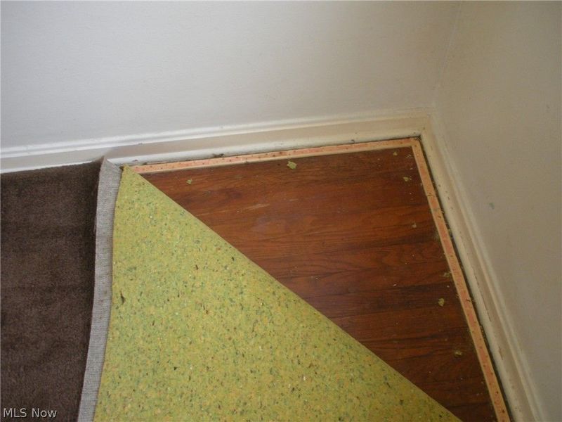 12503 Carrington Avenue, Cleveland, OH 44135 Photo 20