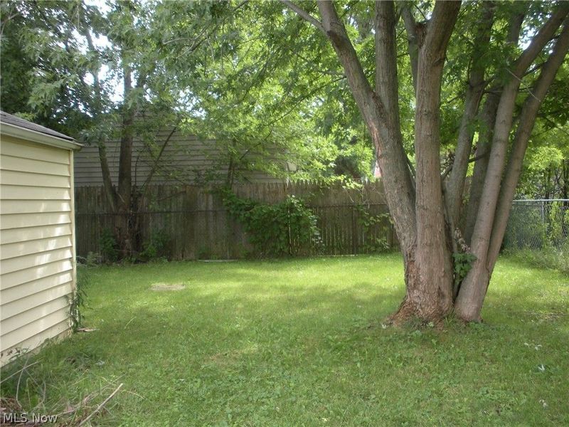 12503 Carrington Avenue, Cleveland, OH 44135 Photo 42