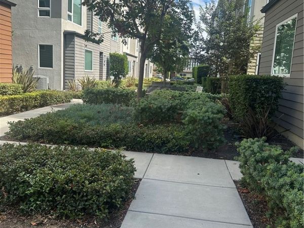 8013 Olive Lane, Downey, CA 90241