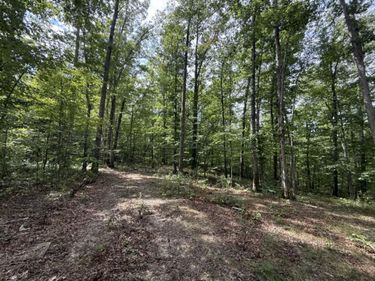 0000 Shady Grove Road, Unit Lot 5, Mt Vernon, KY 40456