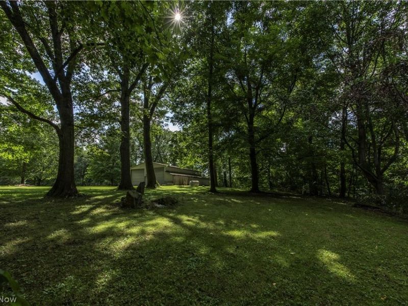3911 Minor Road, Copley, OH 44321 Photo 5