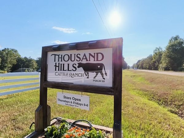 156 Perdue Road, Barnesville, GA 30204