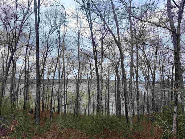 Lot 37&38 Imperial Lp, Cherokee, AL 35616