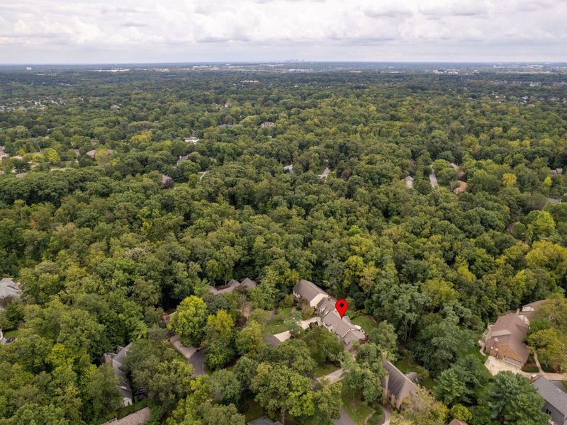 8507 Torwoodlee Court, Dublin, OH 43017 Photo 95