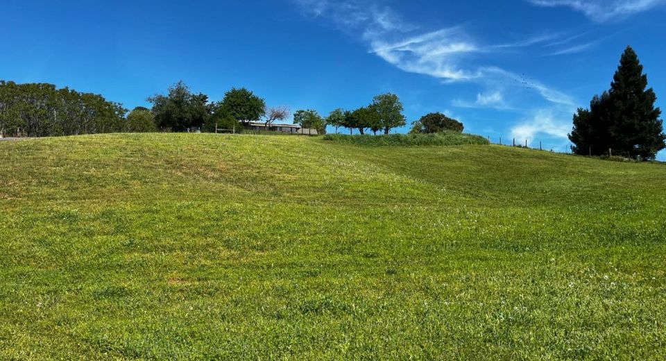 Butler Rd, Penryn, CA 95663 Photo