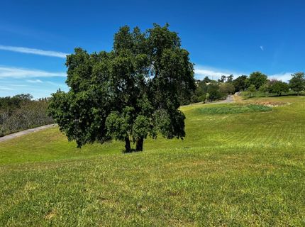 Butler Rd, Penryn, CA 95663 Photo