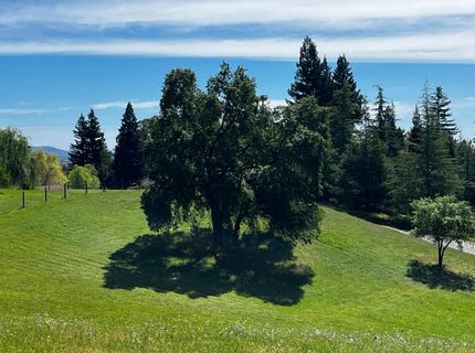 Butler Rd, Penryn, CA 95663 Photo