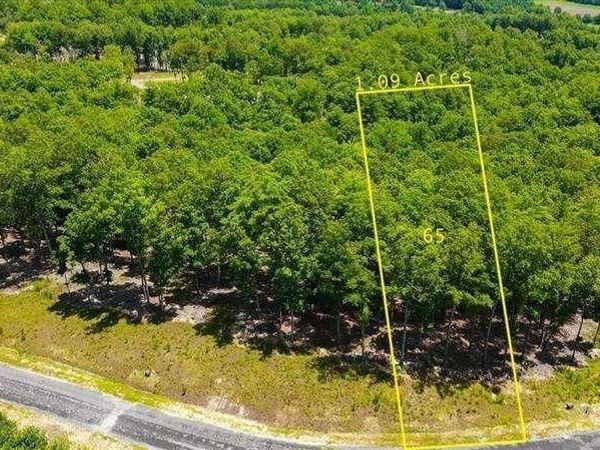 0 Ridge Drive, Morganton, GA 30560