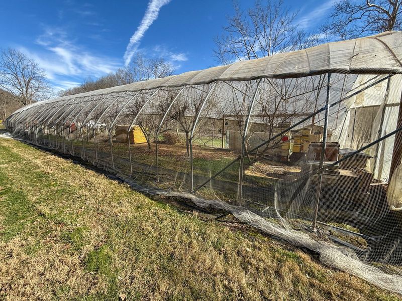 248 Sulphur Lick Road, Frankfort, KY 40601 Photo 37