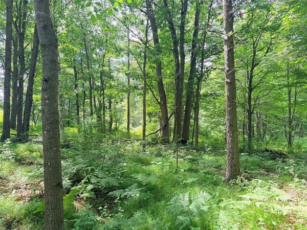 10 Acres Peterson Road, Bruce, WI 54819