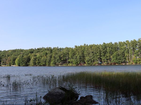 Lot 0 Sweet Fern Way , Orland, ME 04472