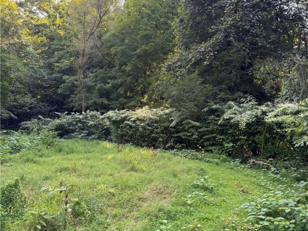 53520 Trough Run Road, Bellaire, OH 43906
