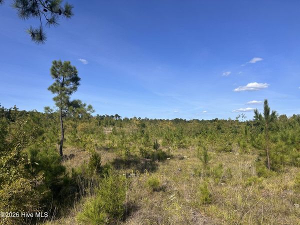 Hwy 139 And Hwy 28 Old Plum Branch Rd S, Plum Branch, SC 29845
